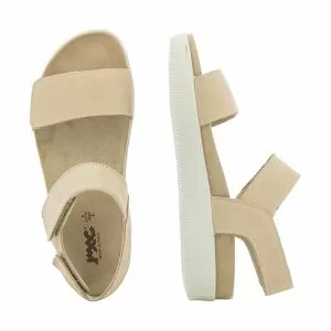 -358260.DAISY CHAMPAGNE/BElGE