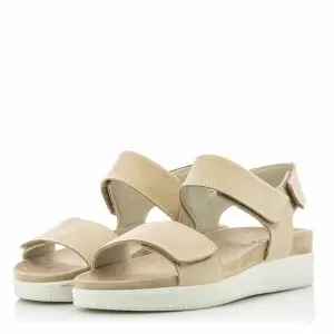 -358260.DAISY CHAMPAGNE/BElGE