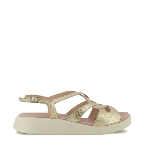 Дамски Сандали На Платформа WONDERS - C-6550 MAR PLATINO